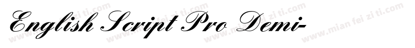 English Script Pro Demi字体转换